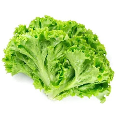Alface Crespa Un