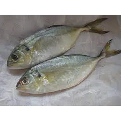 Peixe Cara Pau Xerelete