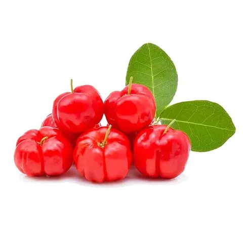 Acerola Lessa Pacote 500g