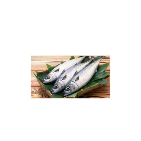 Sardinha