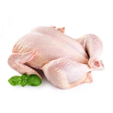 Frango Abatido Resfriado